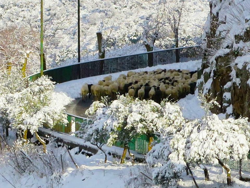 Porta Baciamano Ξενοδοχείο Geraci Siculo Εξωτερικό φωτογραφία